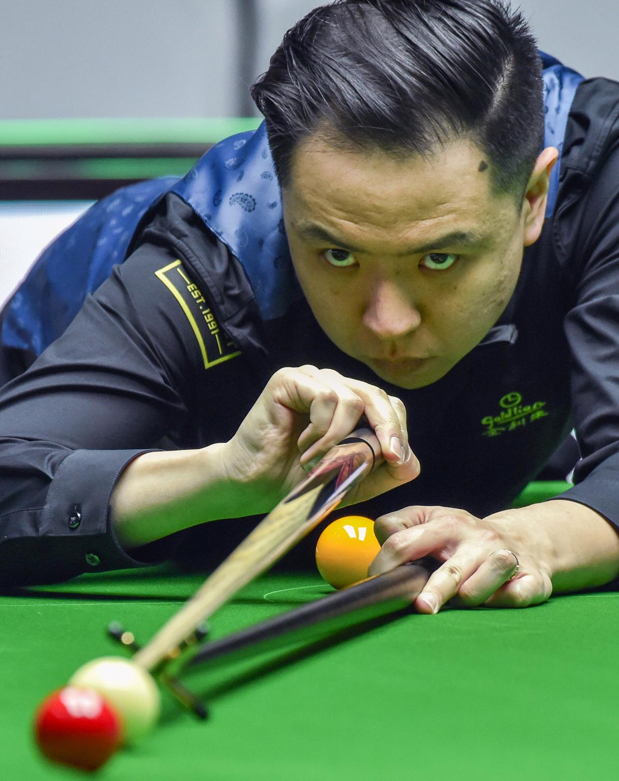 并不罕见 并不罕见