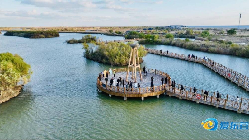 事已射入1 事已射入1